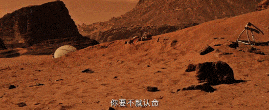 DSC0000.gif
