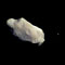 asteroid_ida&dactyl_s.jpg