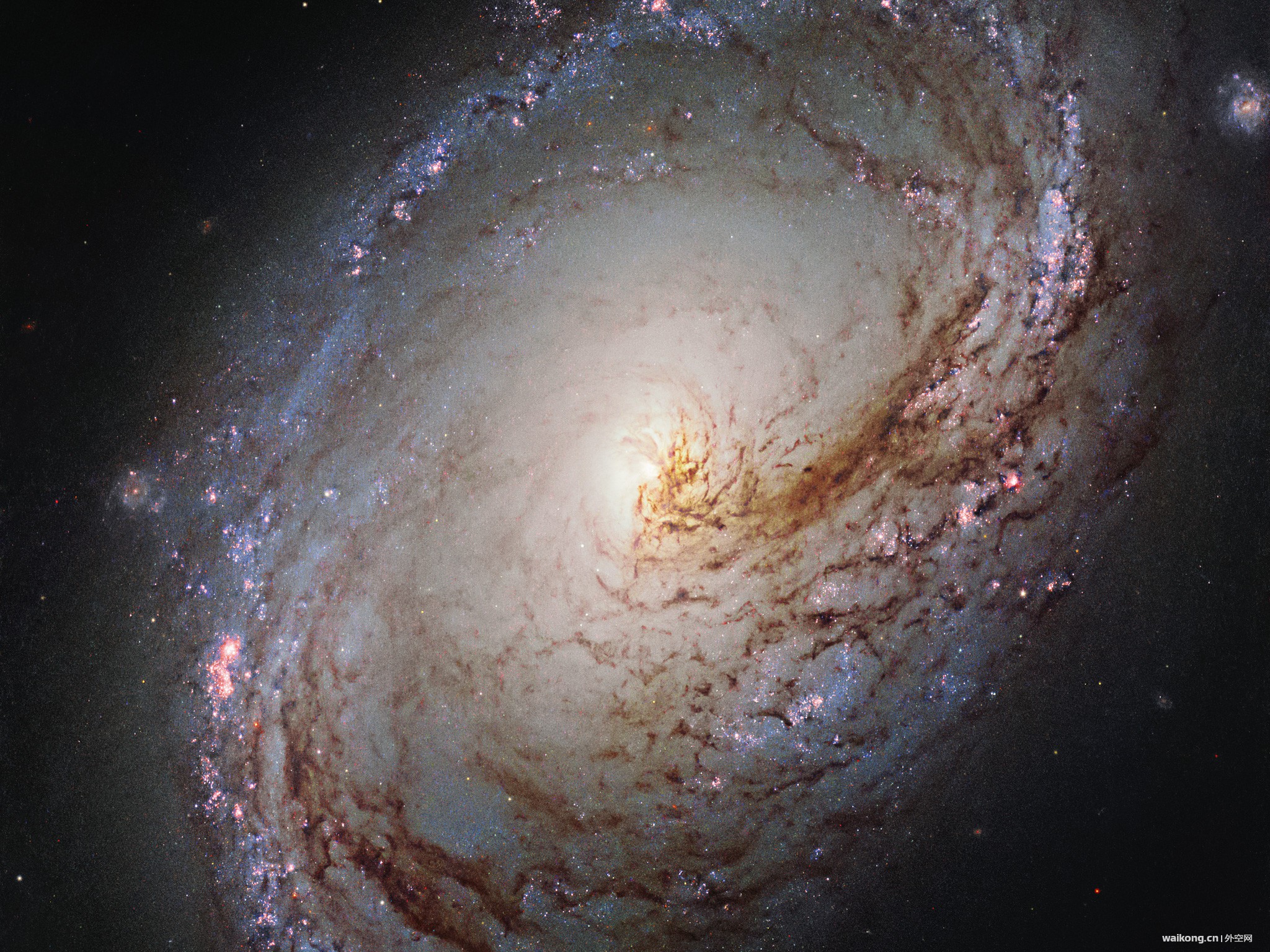 A galactic maelstrom.jpg