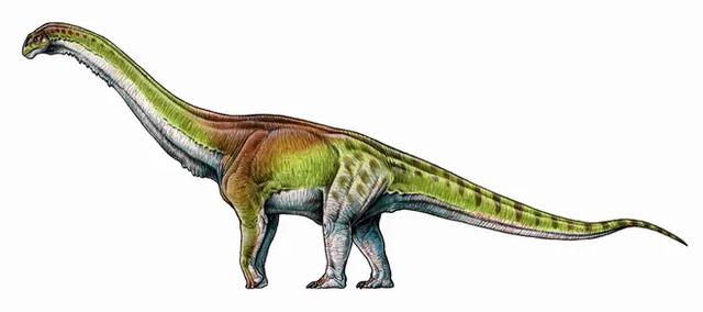古生物学家：在埃及发现8000万年前的恐龙遗骸，比客车还大-2.jpg