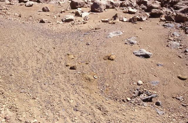 机遇号在火星上发现的一个小秘密，背后隐藏着一个大事实-3.jpg