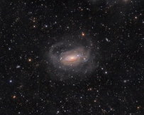 卷曲的旋涡星系M63
