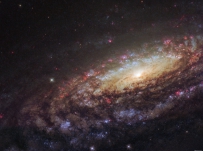 NGC 7331的特写影像