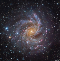 NGC 6946 的正面