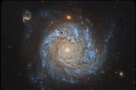 NGC 1309:旋涡星系和其他星系