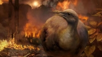 灭绝恐龙的小行星改写了鸟类史