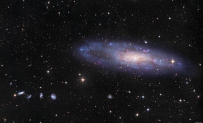 NGC 247和它的朋友们