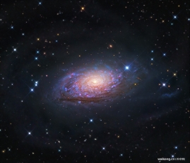 M63：向日葵星系