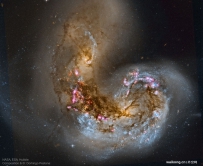 碰撞中的旋涡星系NGC 4038