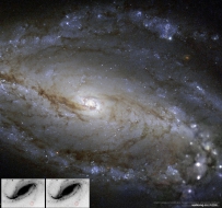 NGC613内的尘埃，恒星和一颗超新星