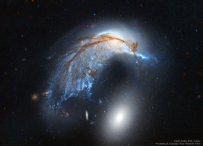 哈勃空间望远镜拍摄的海豚星系