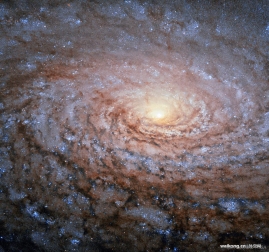 M63:向日葵星系