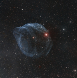 Sharpless 308：恒星气泡