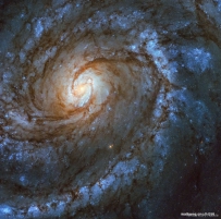 M100：一个宏伟壮观的旋涡星系