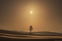 沙漠日食