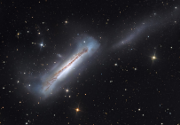 NGC 3628的肖像