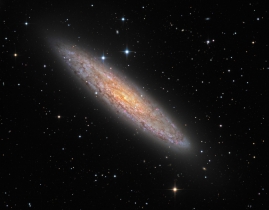 NGC 253：满是尘埃的宇宙岛