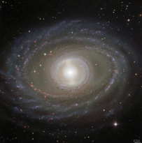 漩涡星系NGC1398的“丝带”和“珍珠”