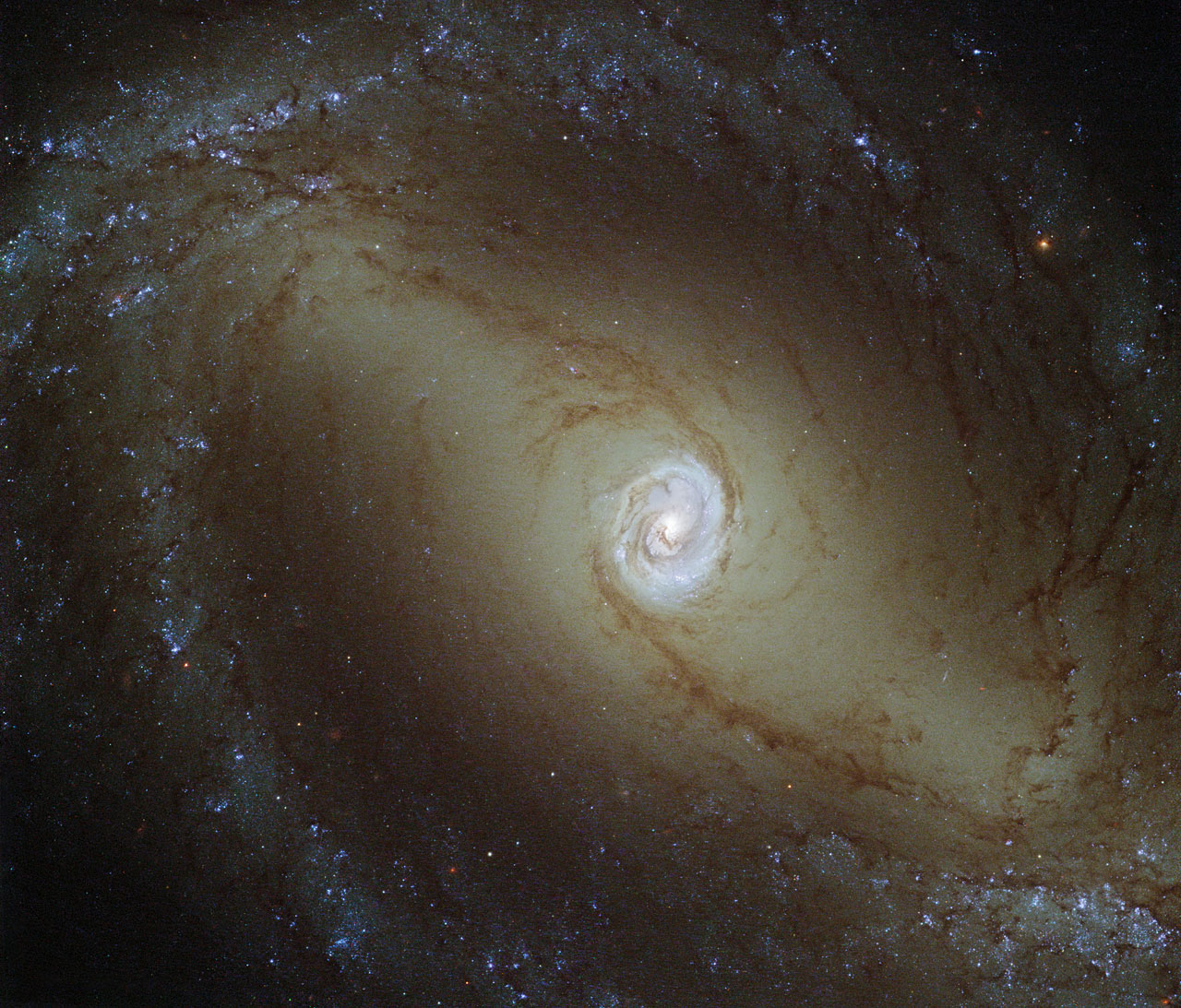 哈勃图像呈现的是邻近的旋涡星系NGC 1433，它离我们约3200万光年 ... ... ... ... ...