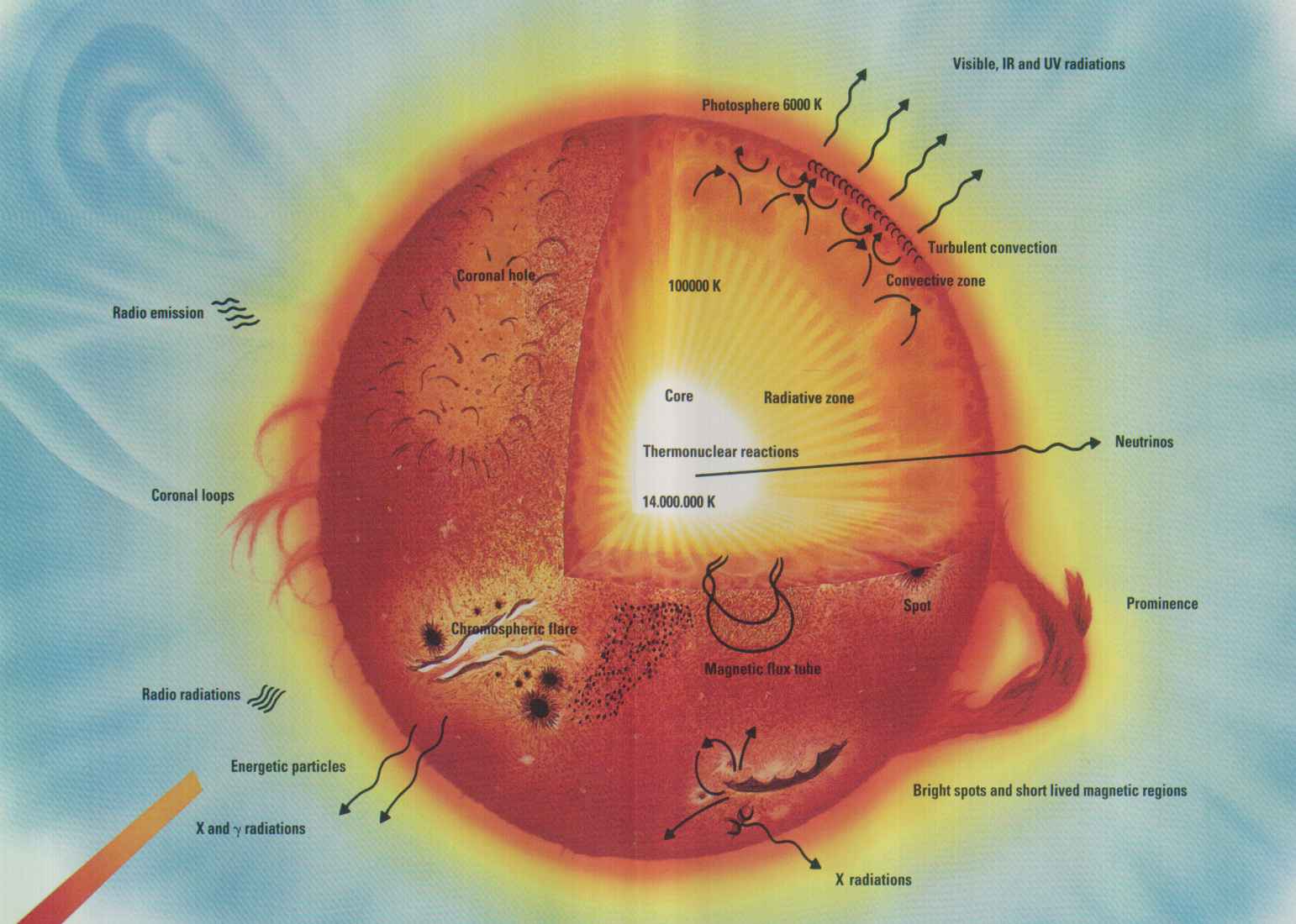 太阳内部构成示意图。它的中心是一个巨大的核聚变反应区。 ...