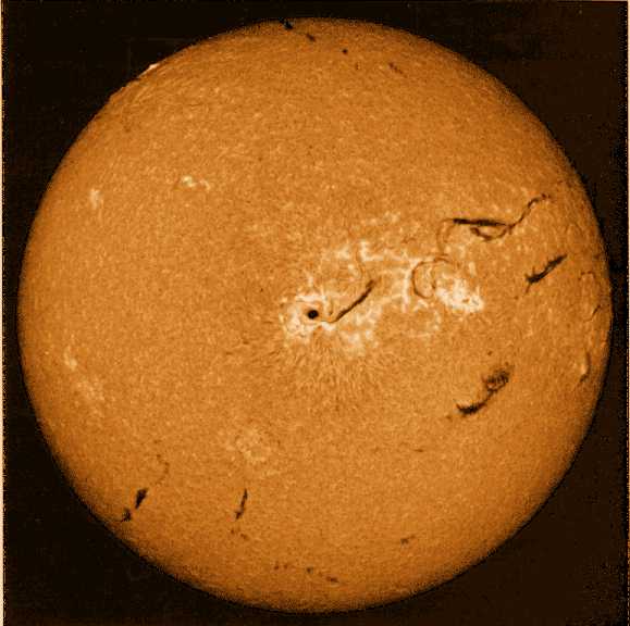 这张太阳的圆面照片摄于H-alpha波段。H-alpha波段是一个狭窄的红色光波段。 ...