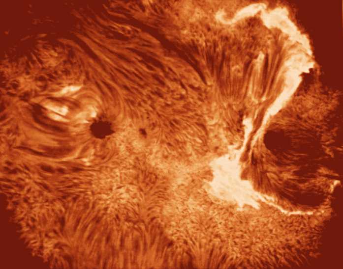 摄于H-alpha波段的太阳日饵照片