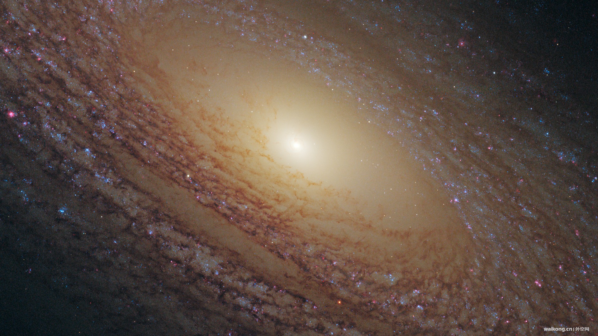 Flocculent spiral NGC 2841.jpg