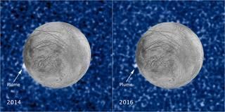 土卫二超大海洋深处或有巨型外星生物！NASA：可能外星人居住-8.jpg