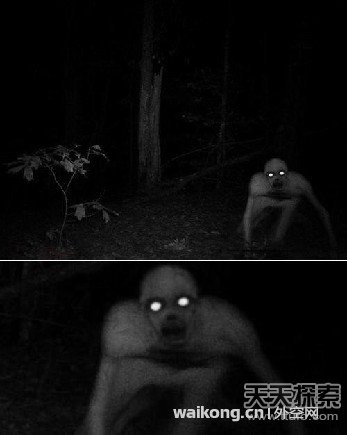 wyn9.jpg