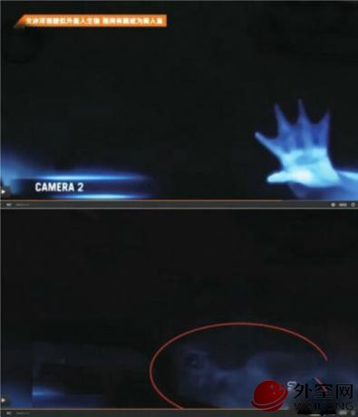 vexv.jpg