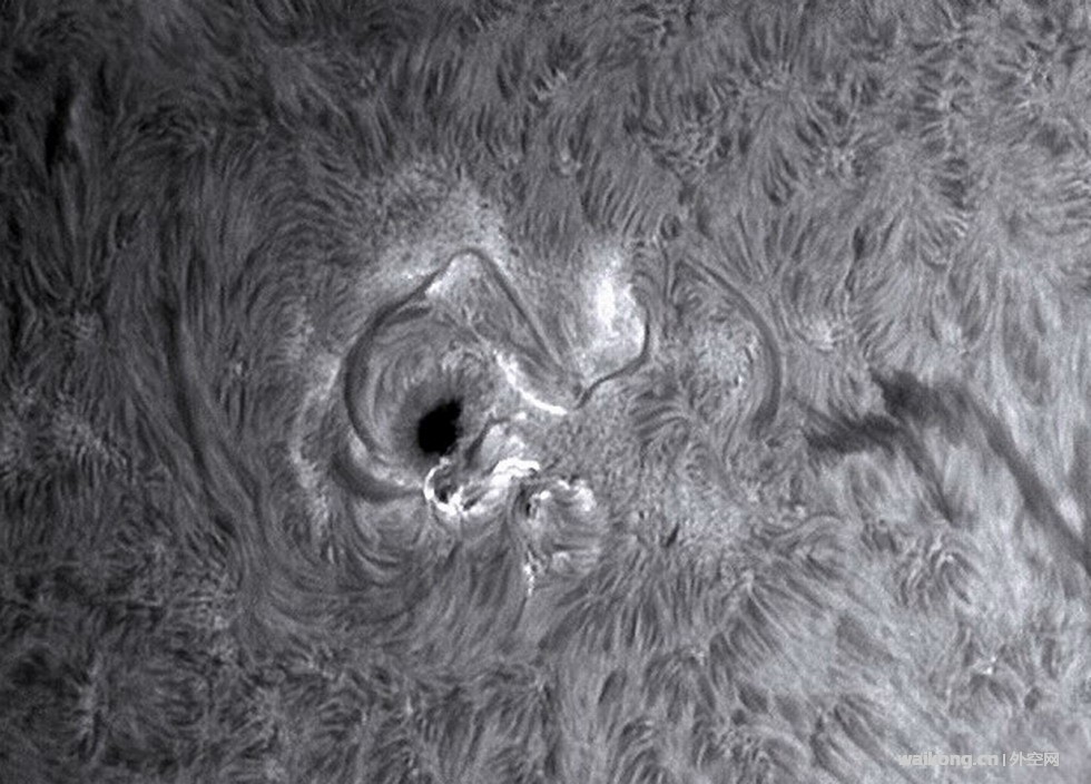sun-08.jpg
