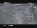 DSC0000.jpg