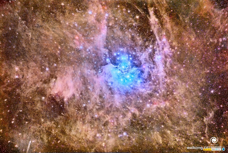 DSC0000.jpg