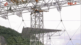 DSC00014.gif