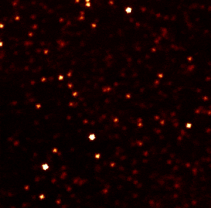 DSC0001.gif