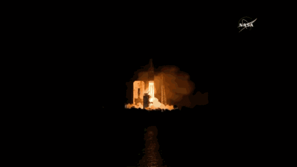 DSC0000.gif