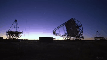 DSC0000.gif