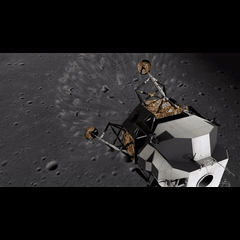 DSC0000.gif