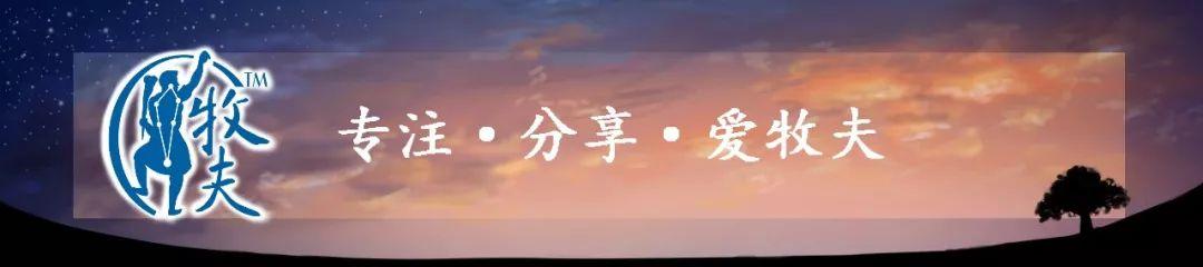 卡西尼号：土卫二上发现碳、氢有机分子-1.jpg